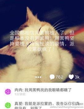 周黑鸭最新爆料,独家揭秘品牌背后的秘密与未来动向